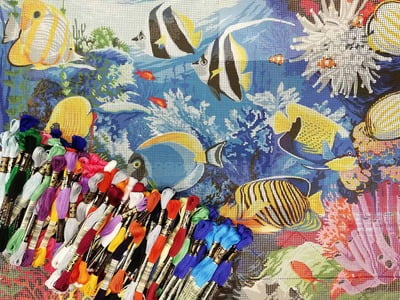 Il Nuovo Acquario Il Nuovo Acquario