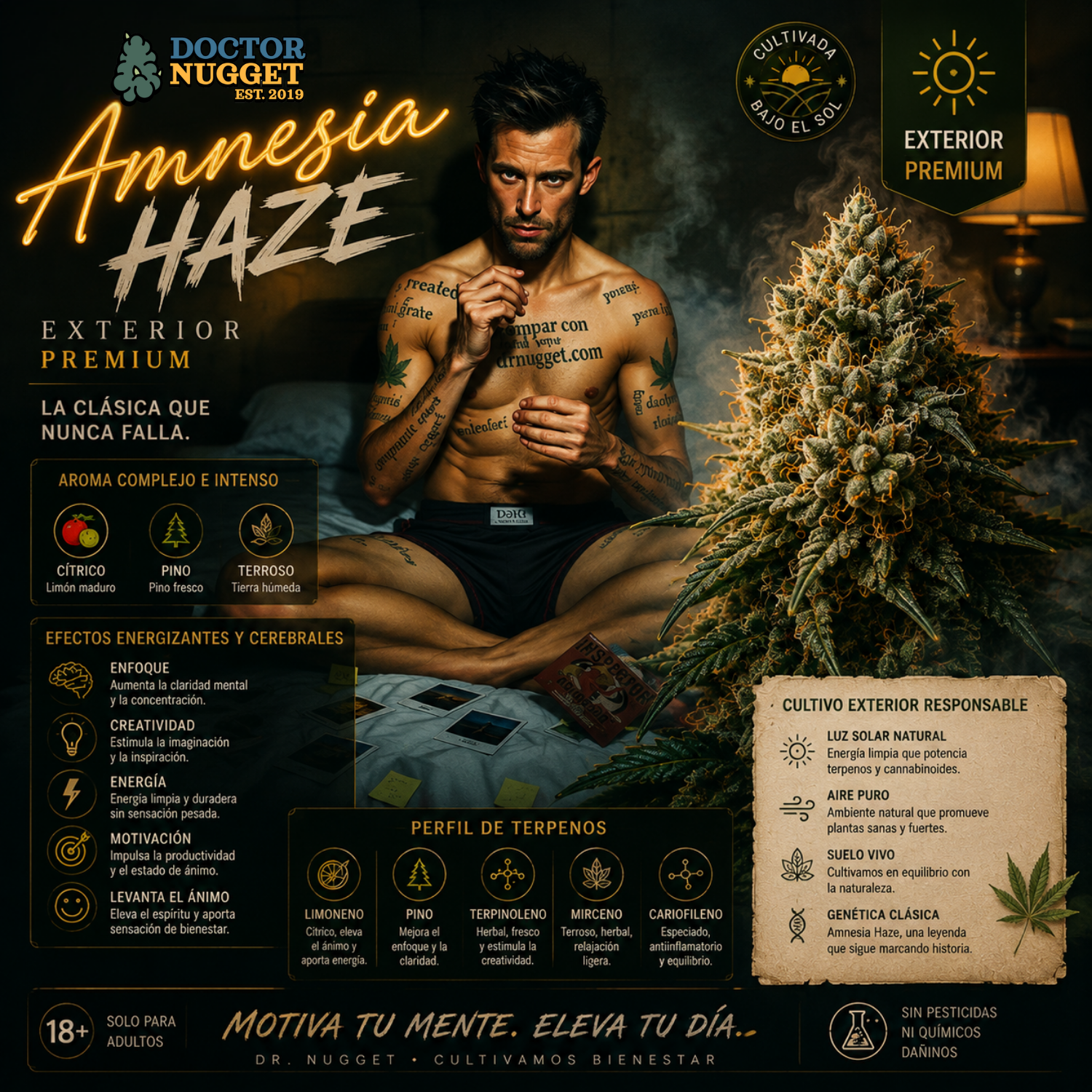 Dr. Nugget Amnesia Haze THC Flor