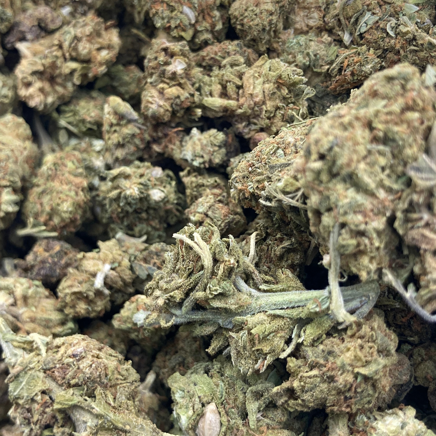Amnesia Haze Exterior Premium