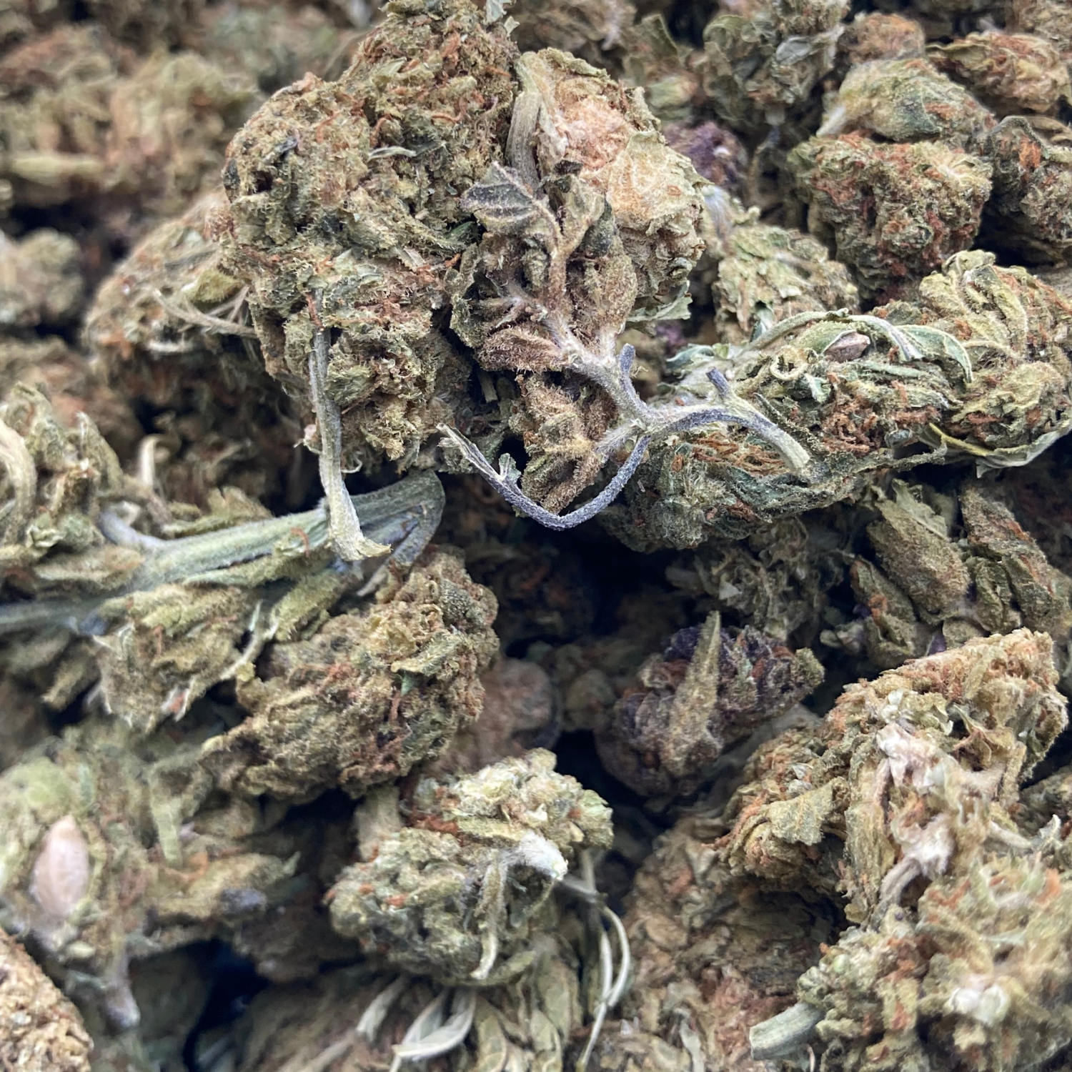 Amnesia Haze Exterior Premium