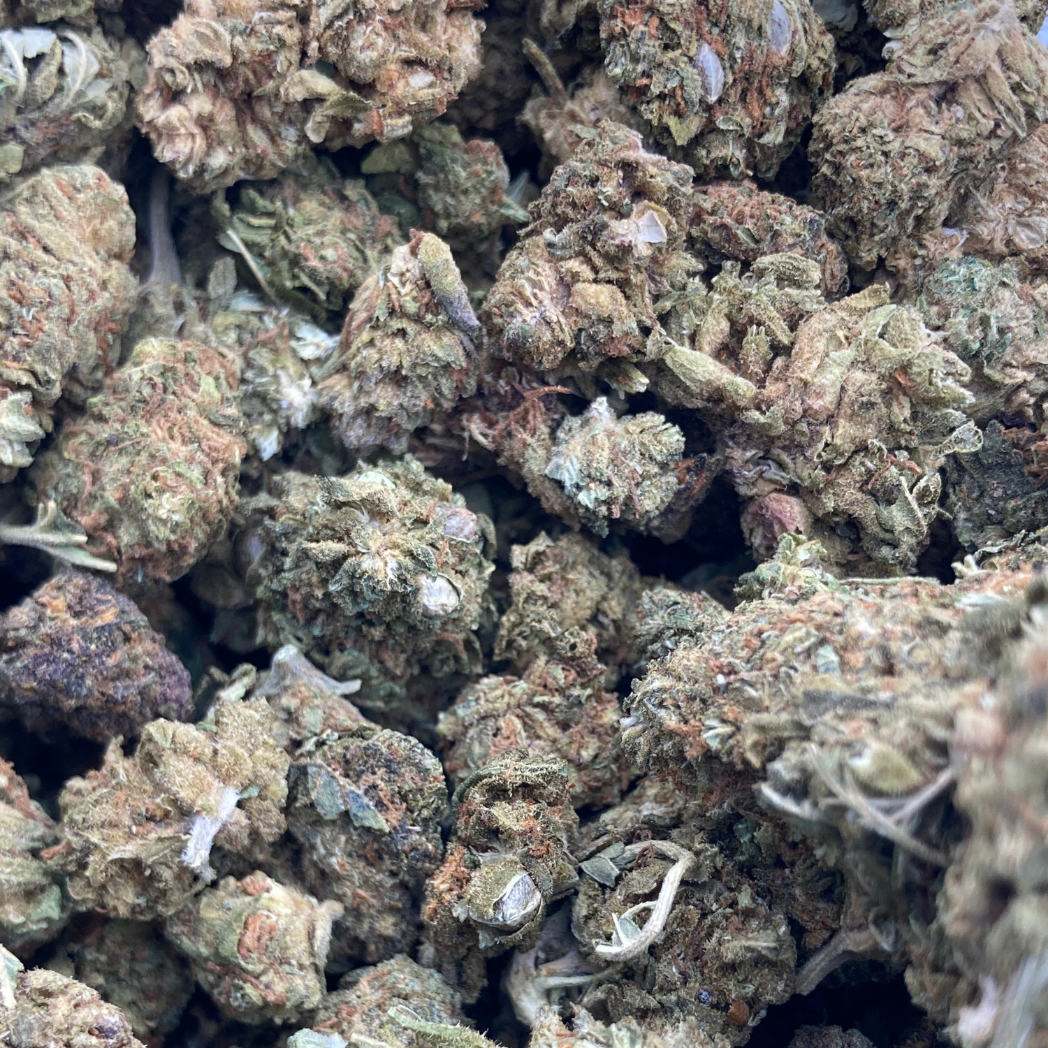 Amnesia Haze Exterior Premium