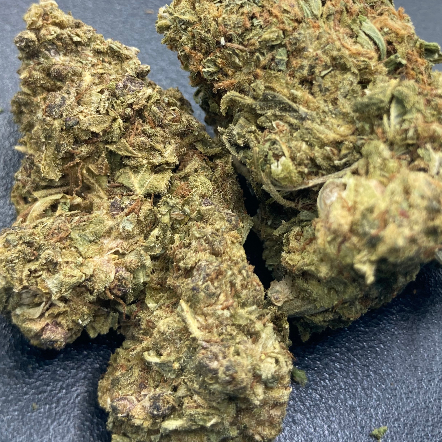Amnesia Haze Exterior Premium