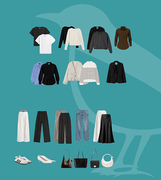 Estudio de patrones de vestimenta / estilo