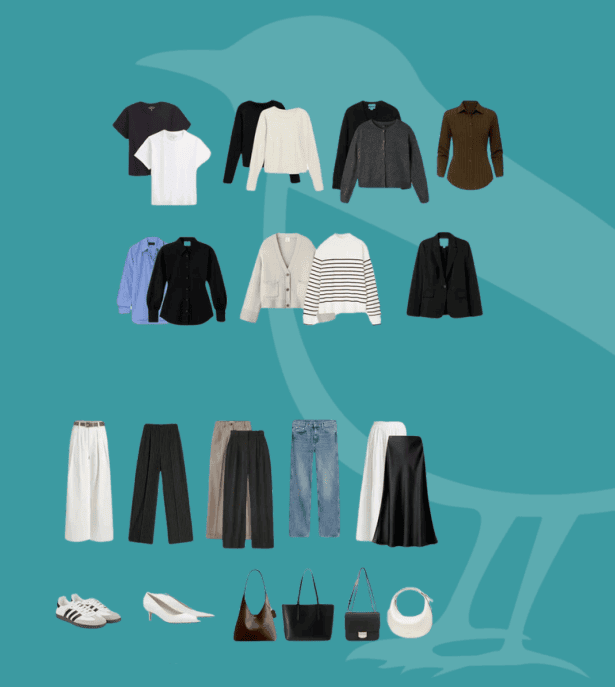 Estudio de patrones de vestimenta / estilo