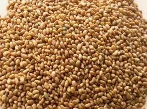குதிரை மசால் 250 Gram | Kuthirai Masal 250 Gram