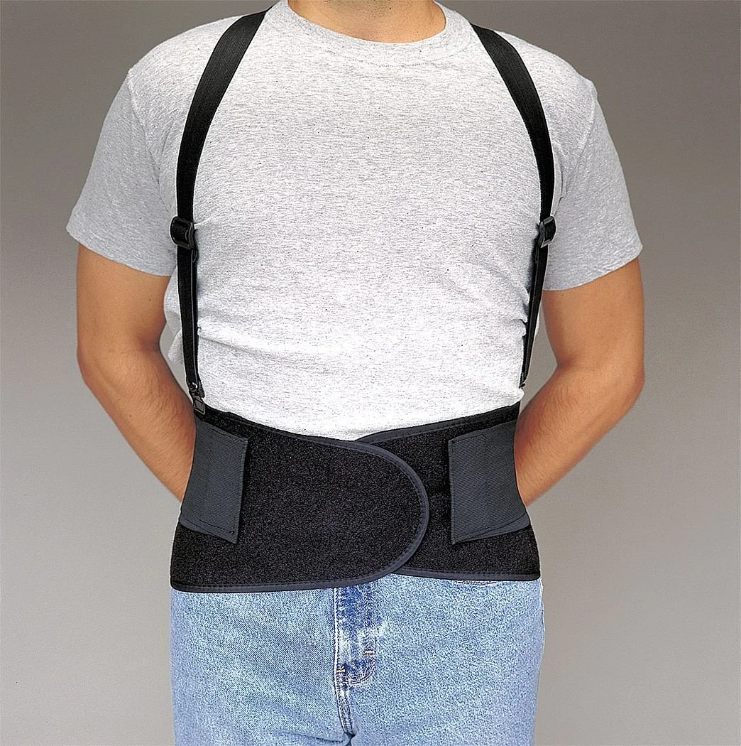 Allegro Back Support,S,26in to 32in,Black