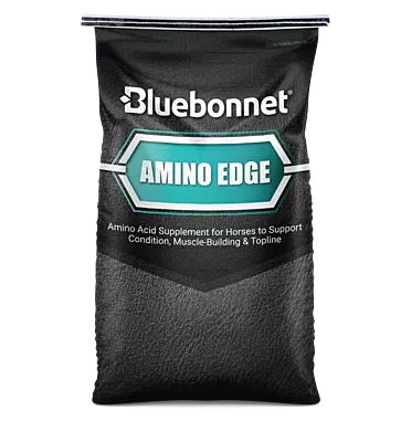 Amino Edge- 40lb