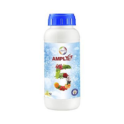 Amply 5 - 250ml