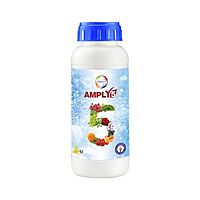 Amply 5 - 500ml