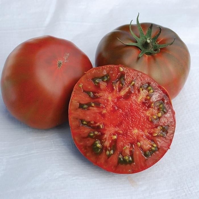 Red Black Plum tomato (| சிகப்பு கருப்பு பிலம் தக்காளி