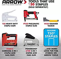 Arrow 508 Heavy Duty T50 1/2-Inch Leg Length, 3/8-Inch Crown, Staples for Upholstery, Construction, Furniture, Crafts