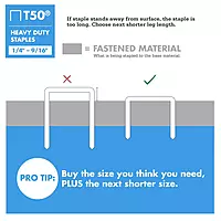 Arrow 508 Heavy Duty T50 1/2-Inch Leg Length, 3/8-Inch Crown, Staples for Upholstery, Construction, Furniture, Crafts