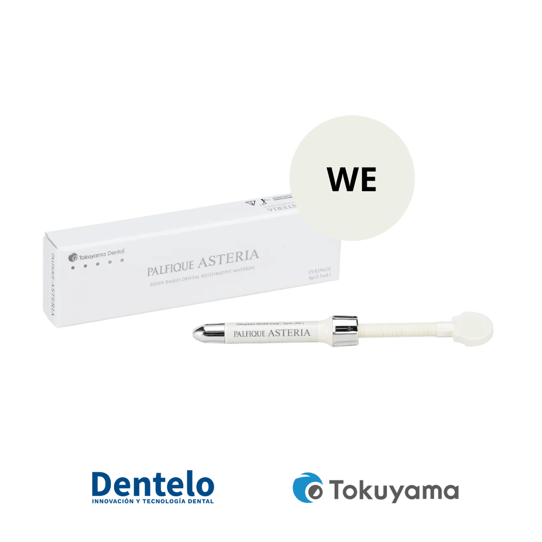 Palfique Asteria Syringe WE 4g