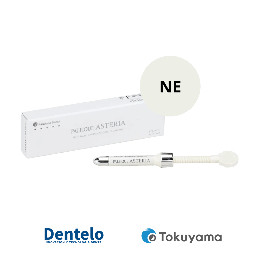 Palfique Asteria Syringe NE 4g
