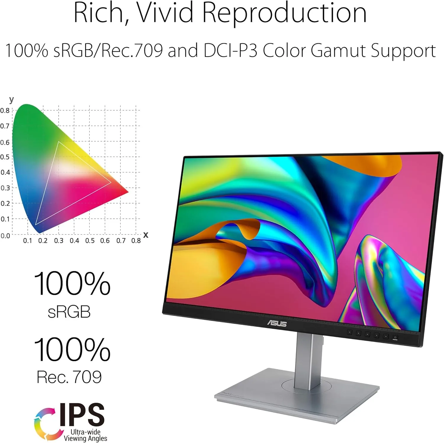 ASUS IPS USB-C Monitors