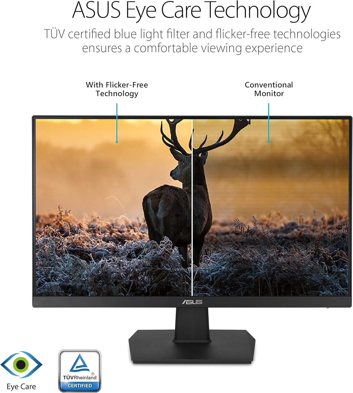 ASUS IPS Monitors - Full HD & 4K