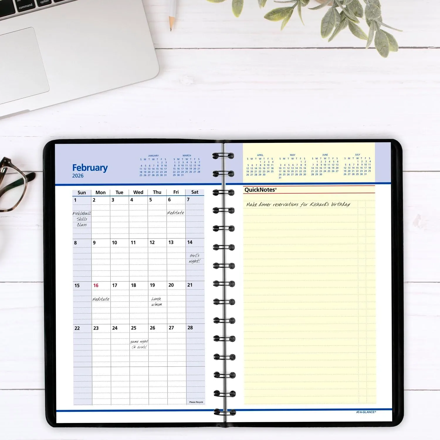 AT-A-GLANCE QuickNotes Weekly & Monthly Appointment Book Planner