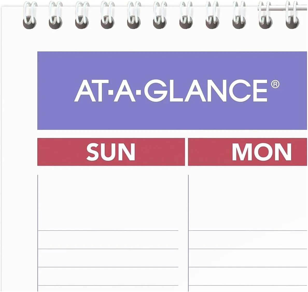 AT-A-GLANCE Monthly Wall Calendar
