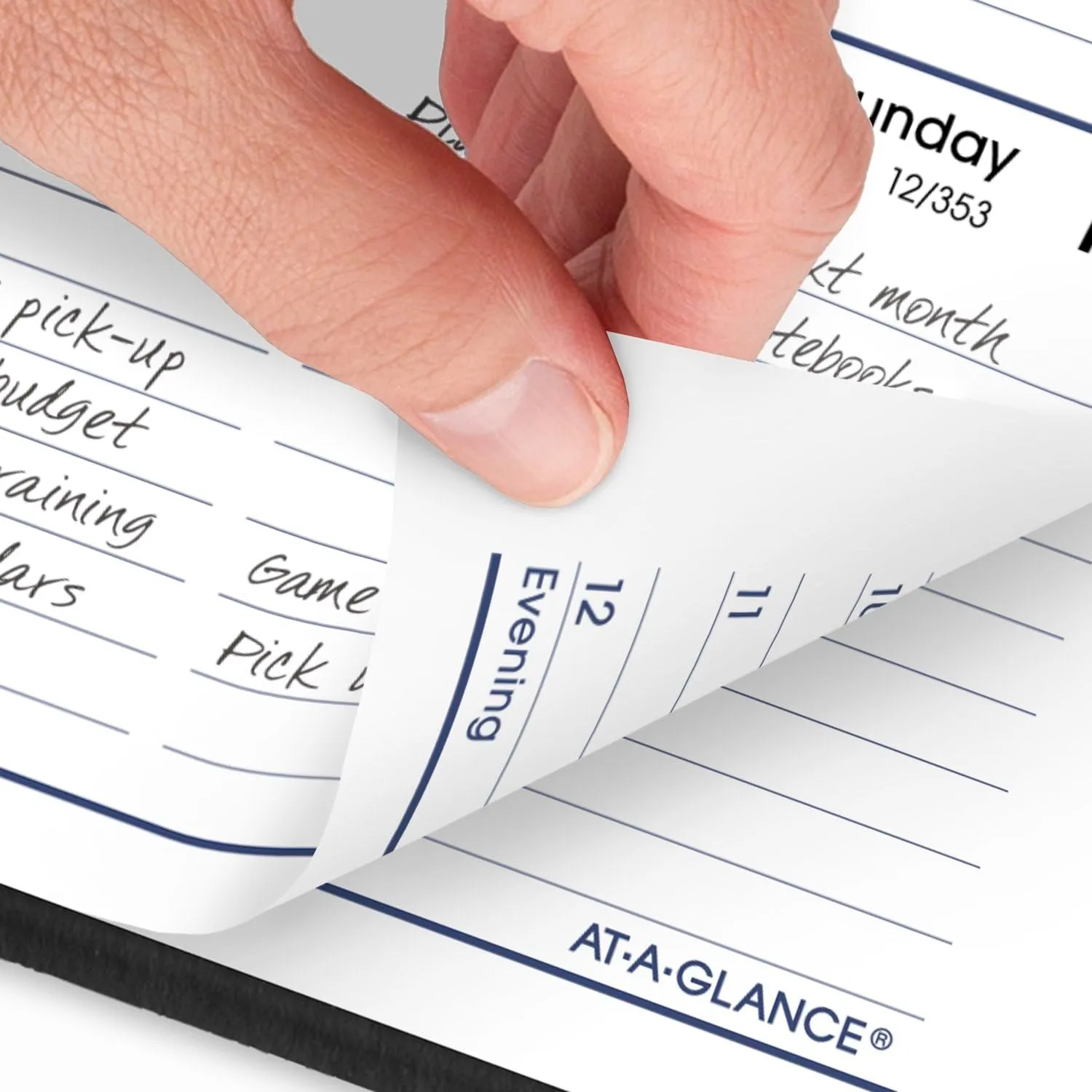 AT-A-GLANCE DayMinder Weekly Appointment Book Planner