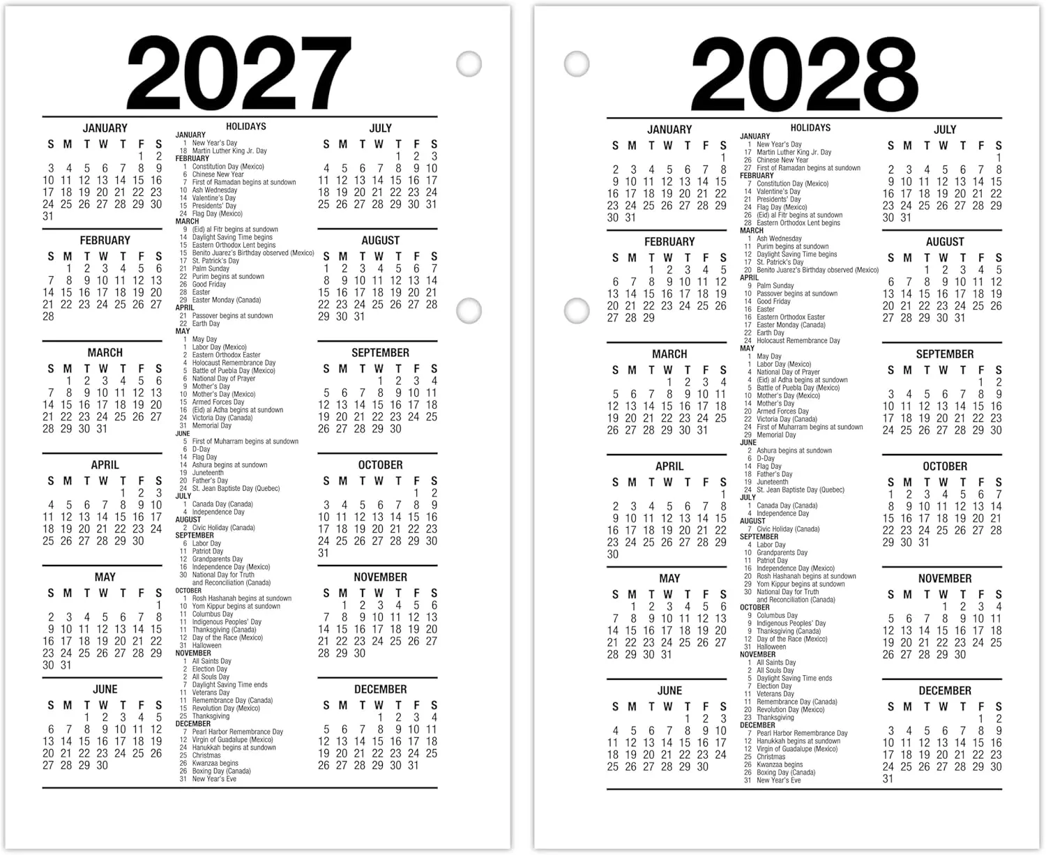 AT-A-GLANCE Daily Loose-Leaf Desk Calendar Refill, 3.5 x 6, Standard (Fits 17 Style bases)