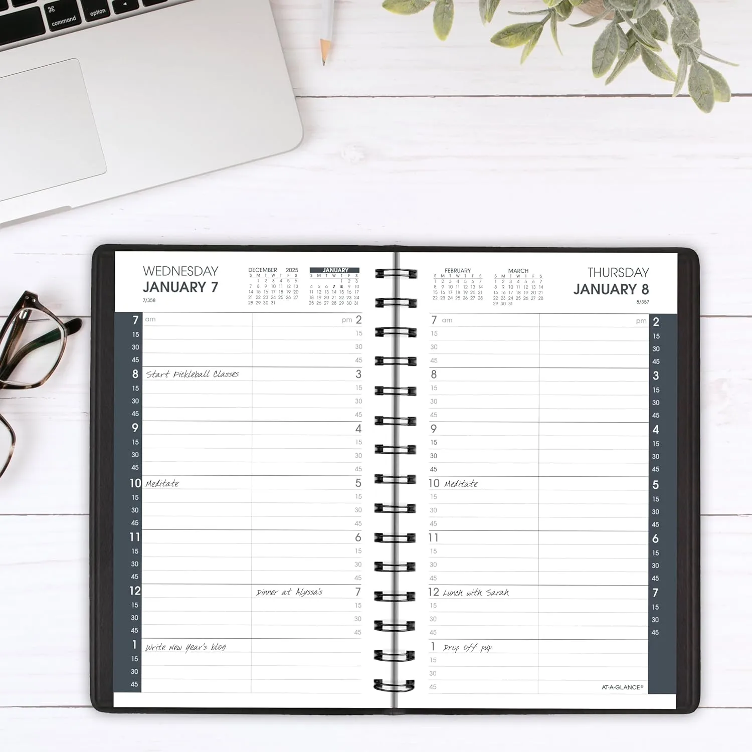 AT-A-GLANCE 2026 Appointment Book Planner, Daily, 5" x 8", Small, Quarter-Hour, Black (708000526) 2026 New Edition