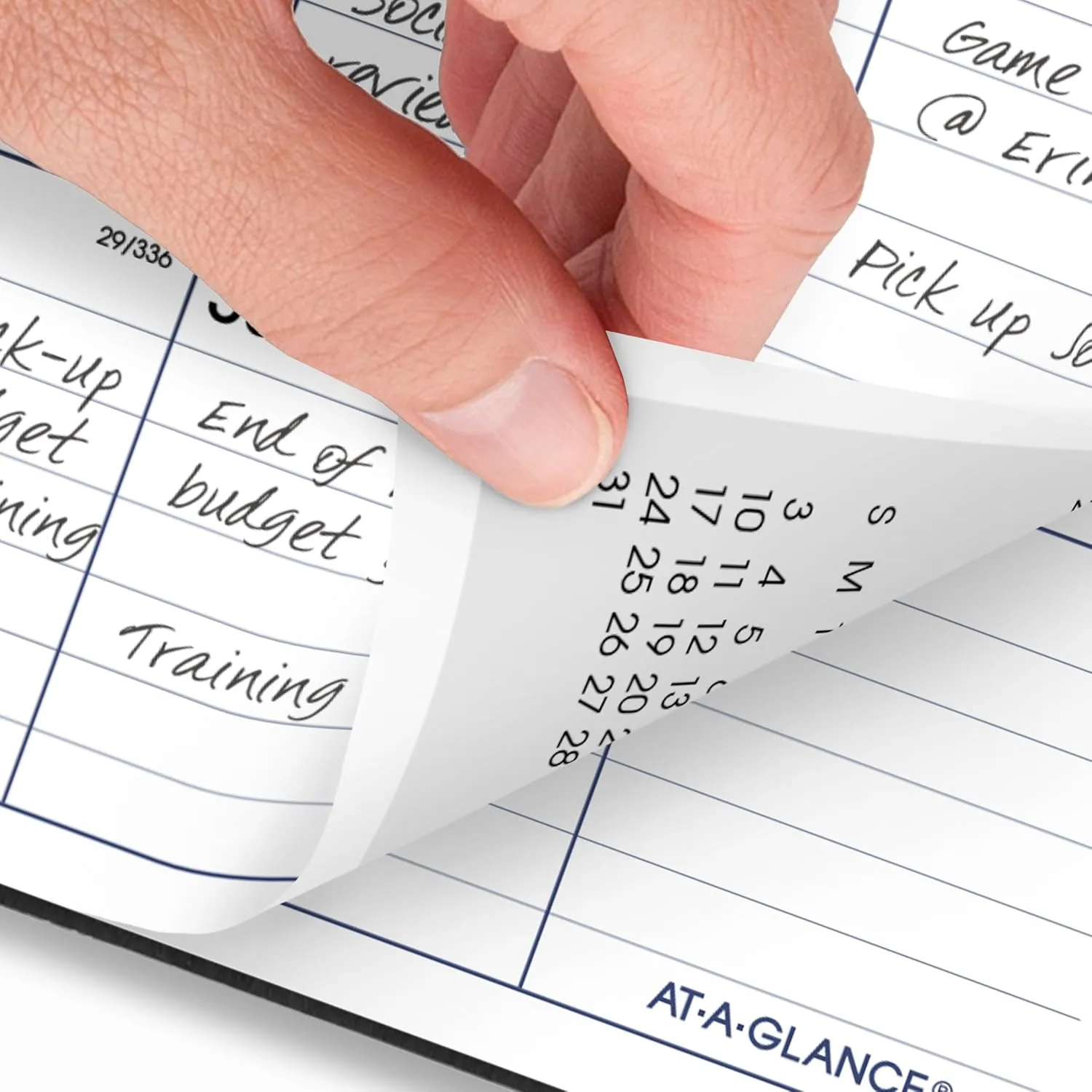 AT-A-GLANCE DayMinder Monthly Planner, Large 8 x 12, Black