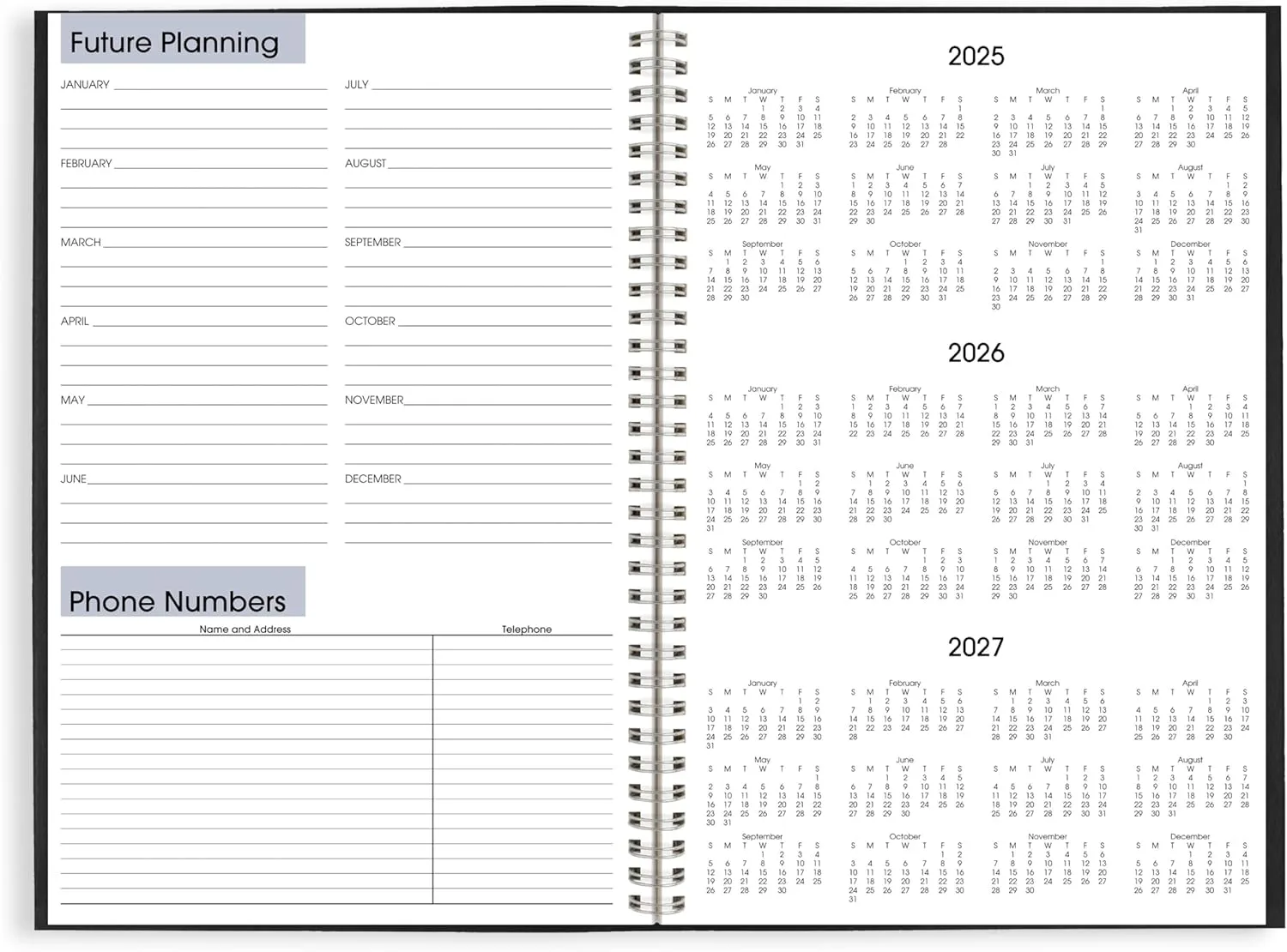 AT-A-GLANCE DayMinder Monthly Planner, Large 8 x 12, Black