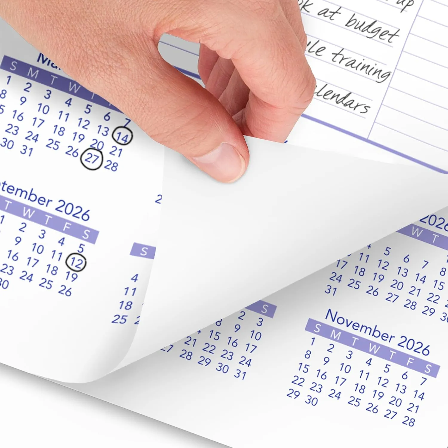 AT-A-GLANCE Monthly Wall Calendar