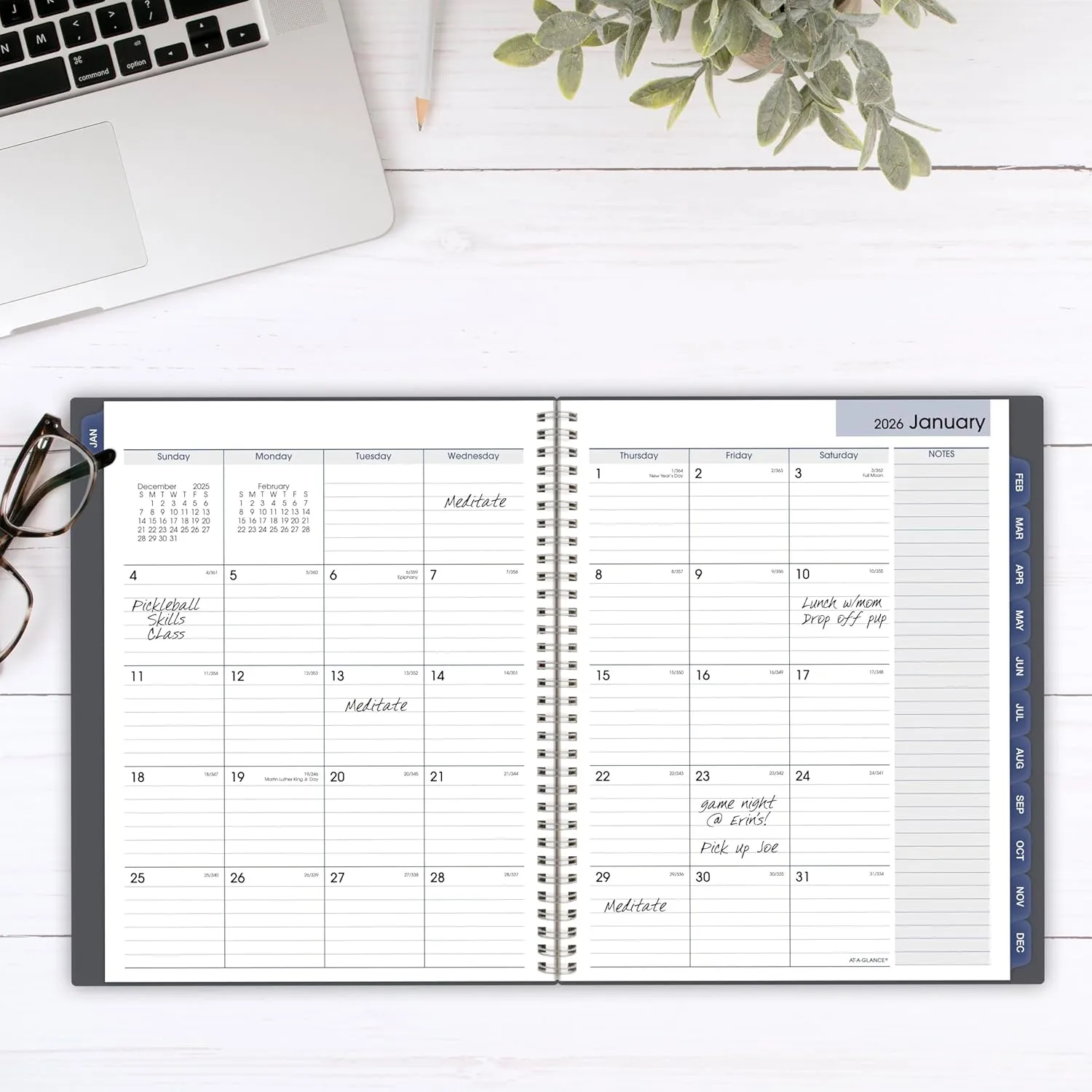 AT-A-GLANCE DayMinder Monthly Planner, Wire-Bound