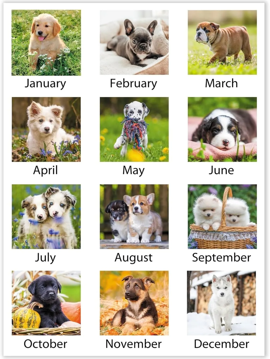 AT-A-GLANCE® 2026 Puppies Monthly Wall Calendar, Large, 15 1/2" x 22 3/4"
