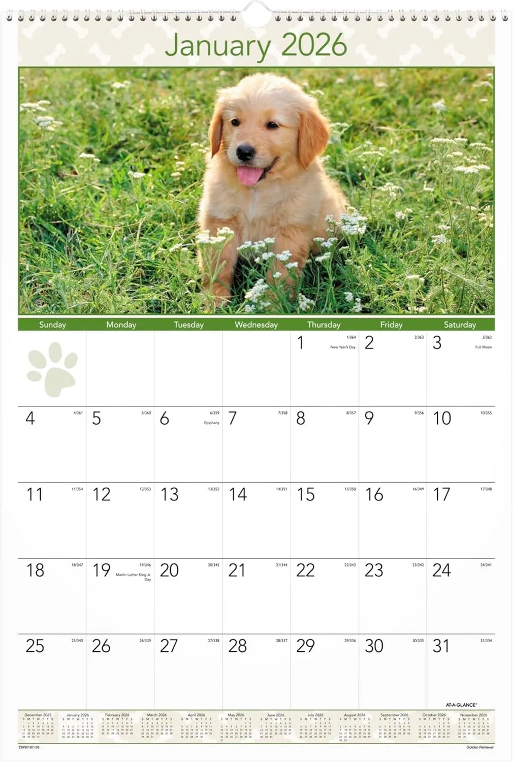 AT-A-GLANCE® 2026 Puppies Monthly Wall Calendar, Large, 15 1/2" x 22 3/4"