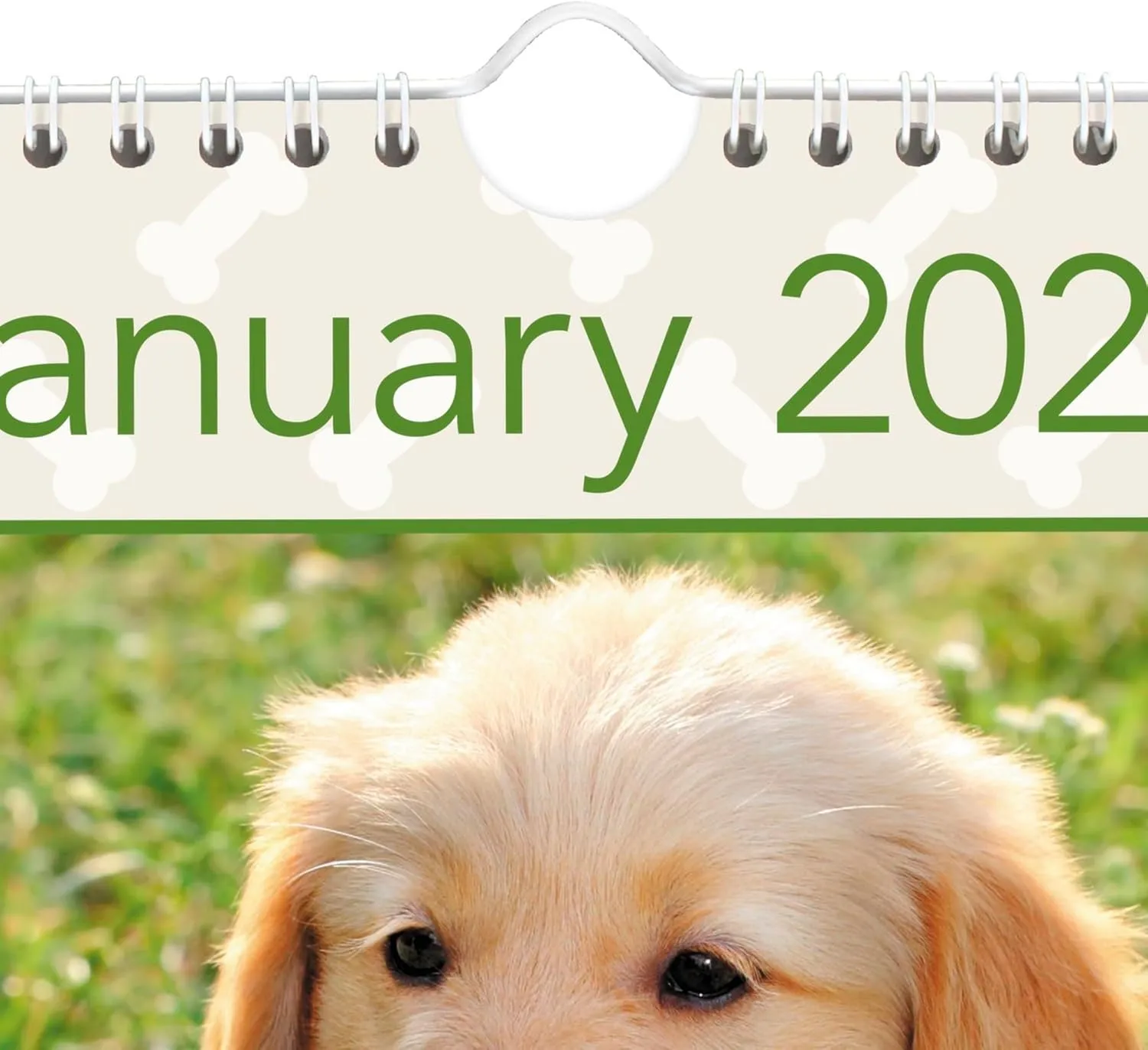 AT-A-GLANCE® 2026 Puppies Monthly Wall Calendar, Large, 15 1/2" x 22 3/4"