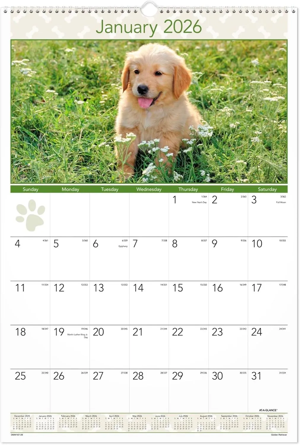 AT-A-GLANCE® 2026 Puppies Monthly Wall Calendar, Large, 15 1/2" x 22 3/4"