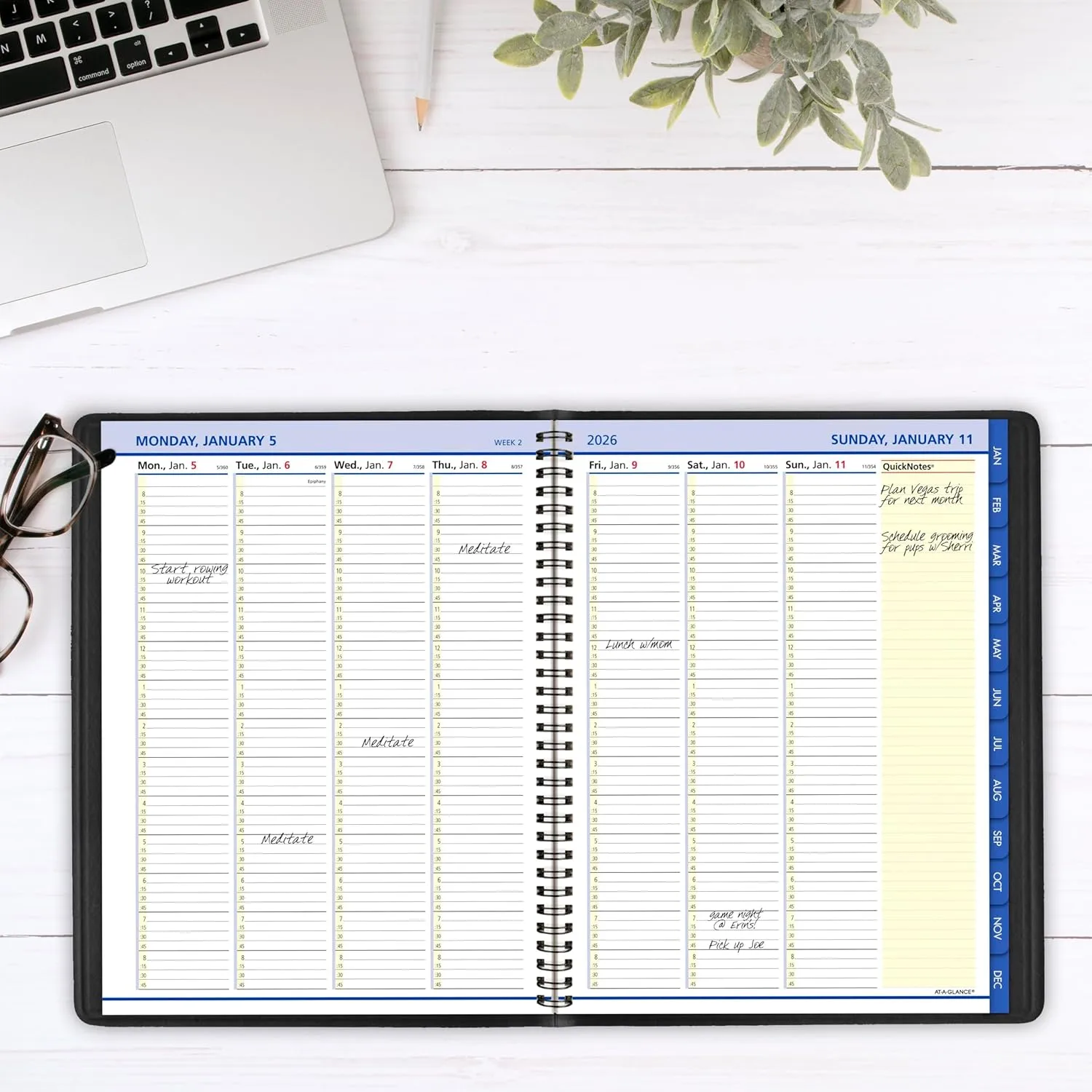 AT-A-GLANCE QuickNotes Weekly & Monthly Appointment Book Planner