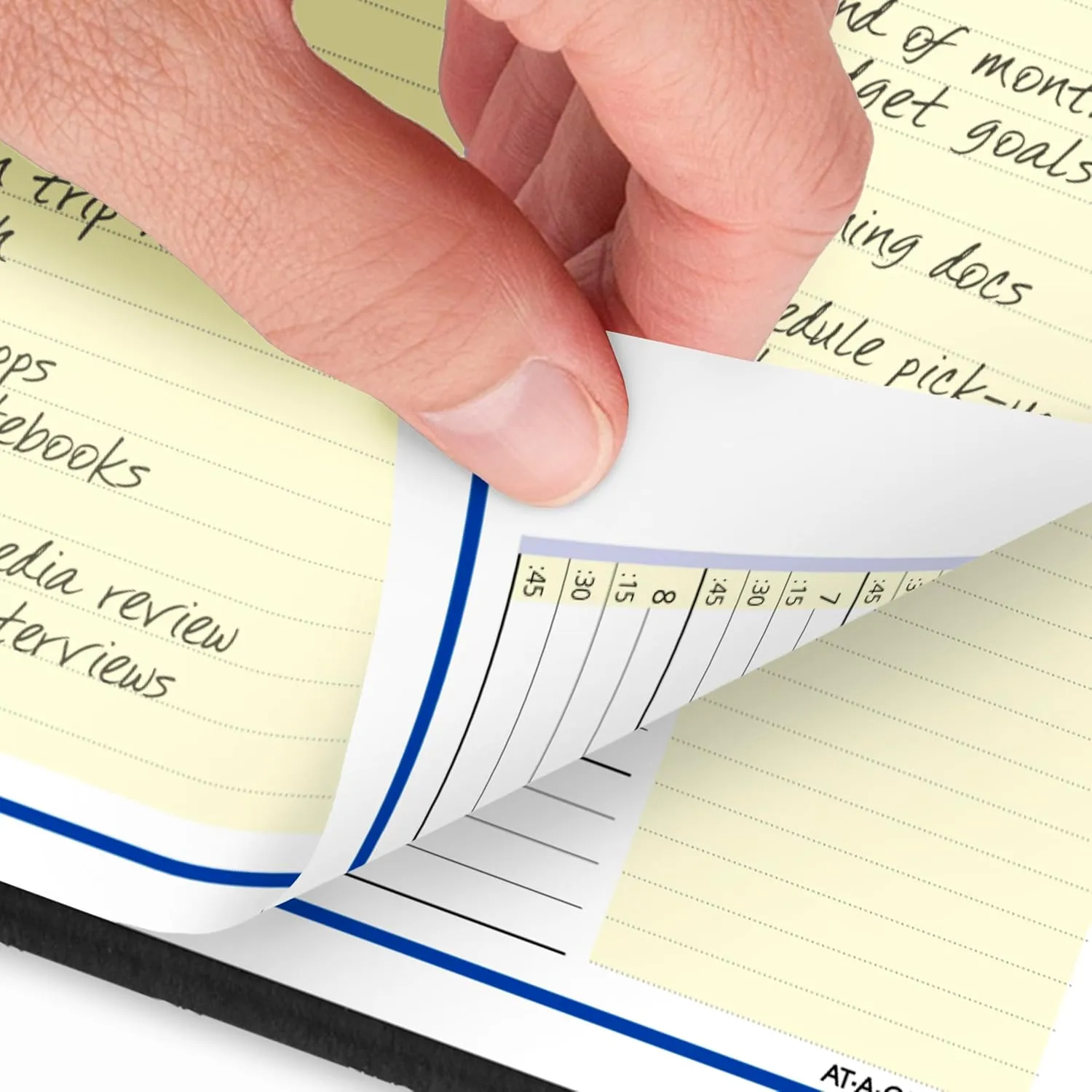 AT-A-GLANCE QuickNotes Weekly & Monthly Appointment Book Planner