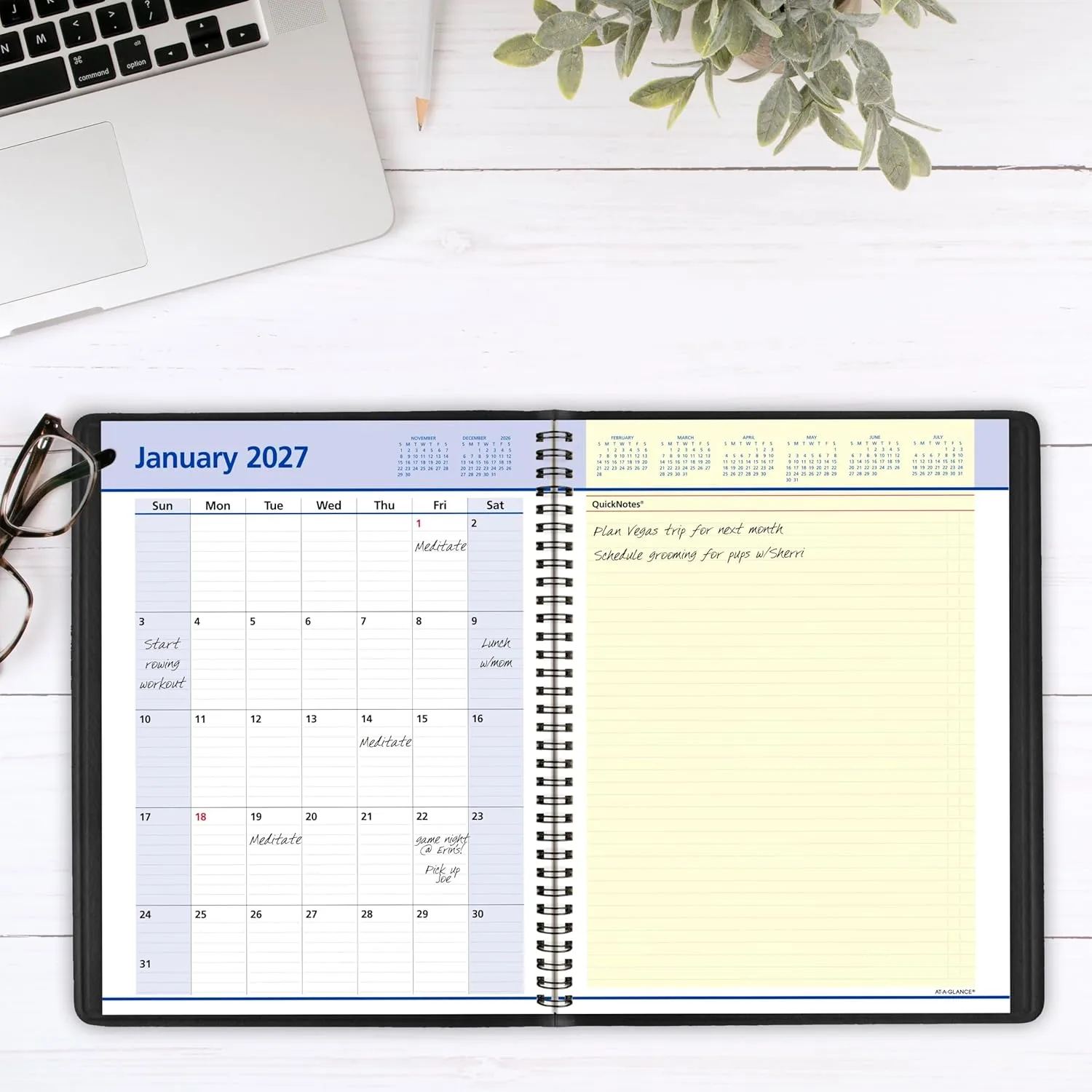 AT-A-GLANCE QuickNotes Weekly & Monthly Appointment Book Planner