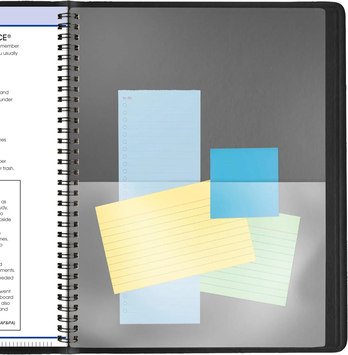 AT-A-GLANCE QuickNotes Weekly & Monthly Appointment Book Planner