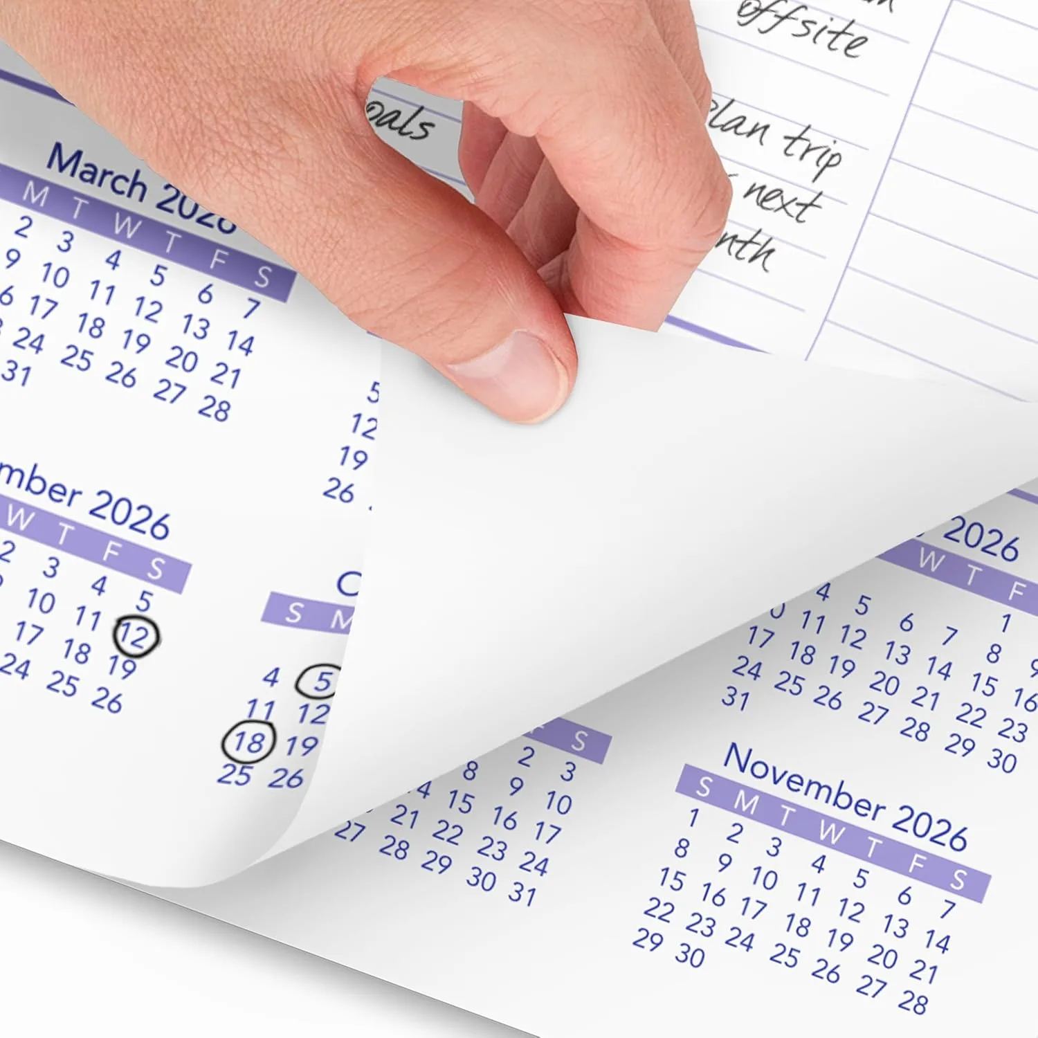 AT-A-GLANCE Monthly Wall Calendar