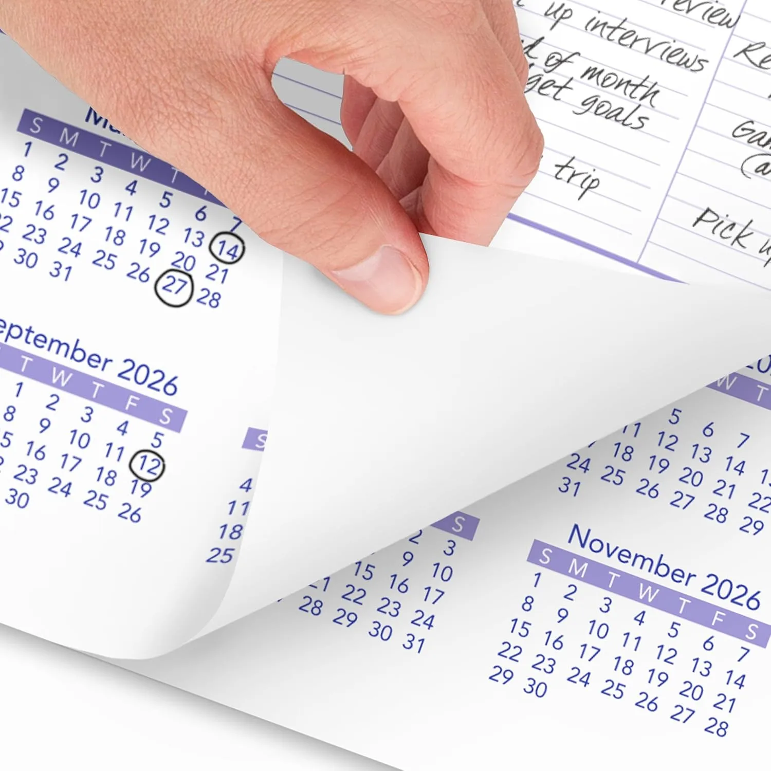 AT-A-GLANCE Monthly Wall Calendar