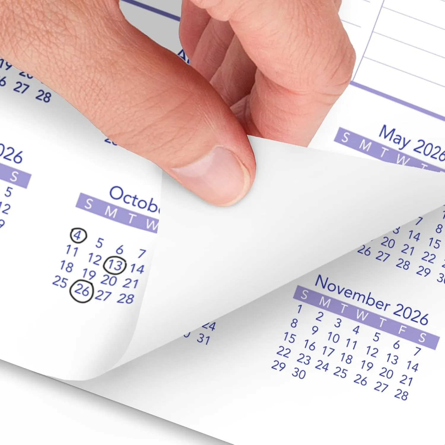 AT-A-GLANCE Monthly Wall Calendar