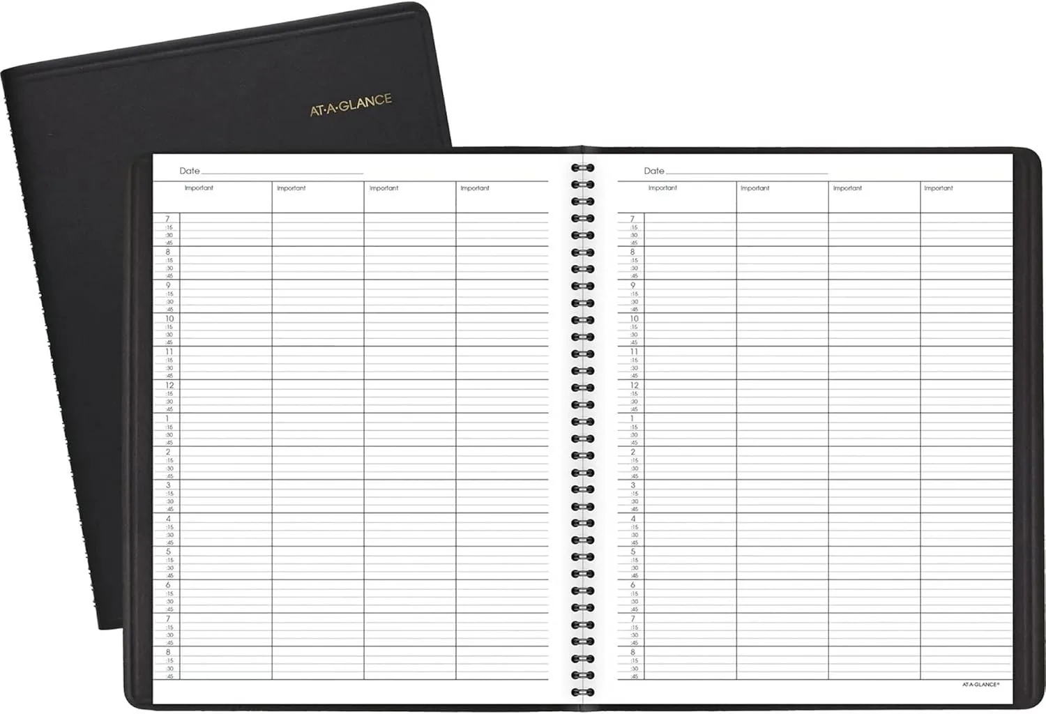 AT-A-GLANCE 4-Person Undated Daily Appointment Book, 8.5 x 11, Black Simulated Leather