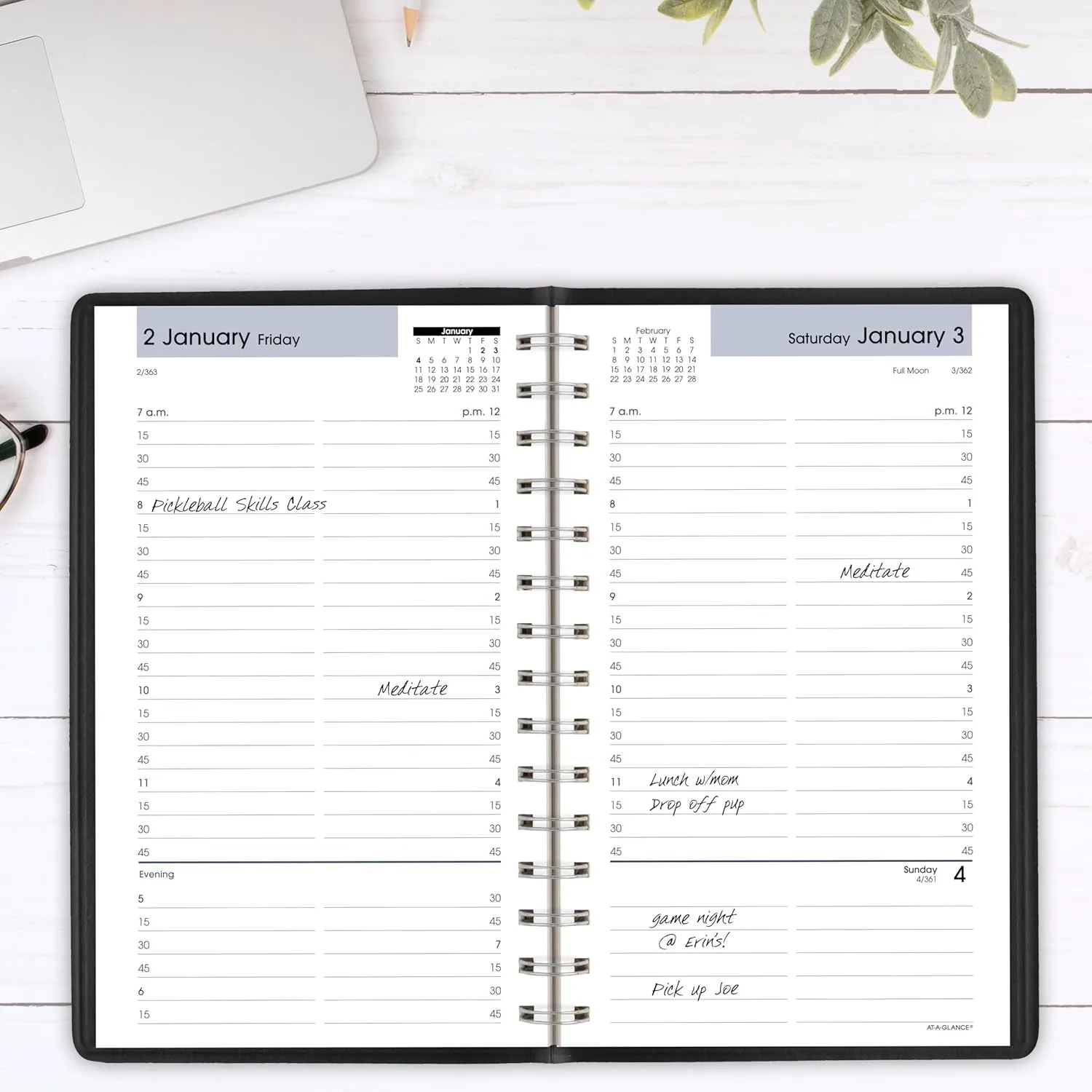AT-A-GLANCE 2026 Appointment Book Planner, Daily, 5" x 8", Small, Quarter-Hourly, DayMinder, Black (G1000026)