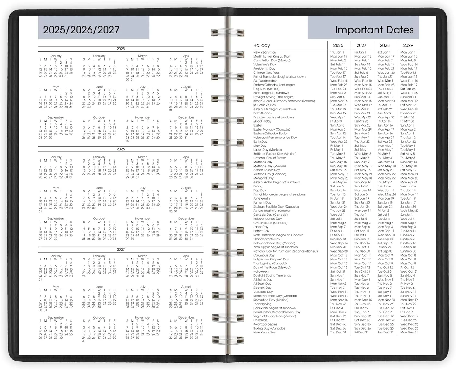 AT-A-GLANCE 2026 Appointment Book Planner, Daily, 5" x 8", Small, Quarter-Hourly, DayMinder, Black (G1000026)