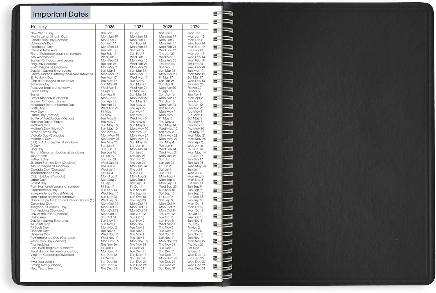 AT-A-GLANCE DayMinder Weekly Appointment Book Planner, 8" x 11", Large