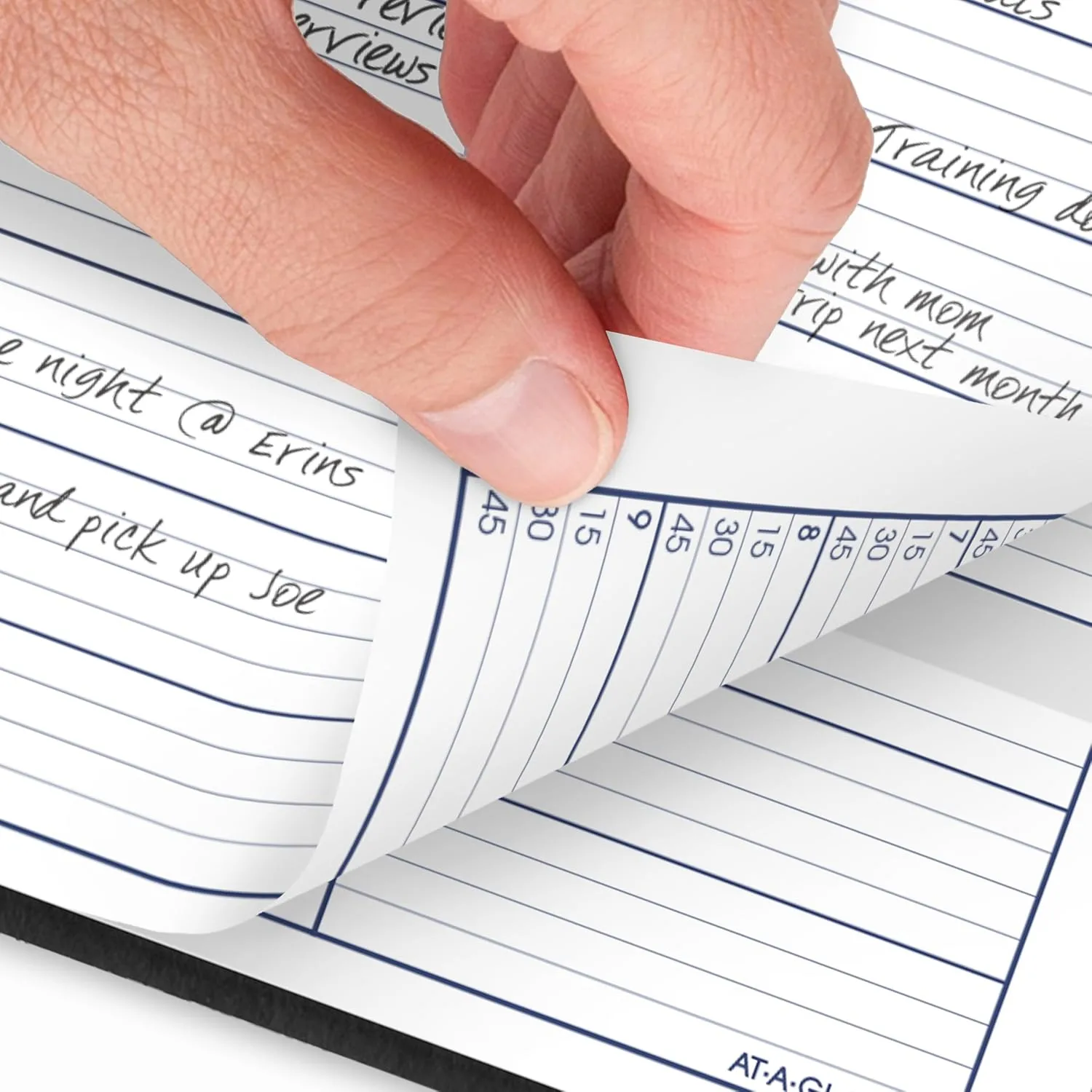 AT-A-GLANCE DayMinder Weekly Appointment Book Planner, 8" x 11", Large