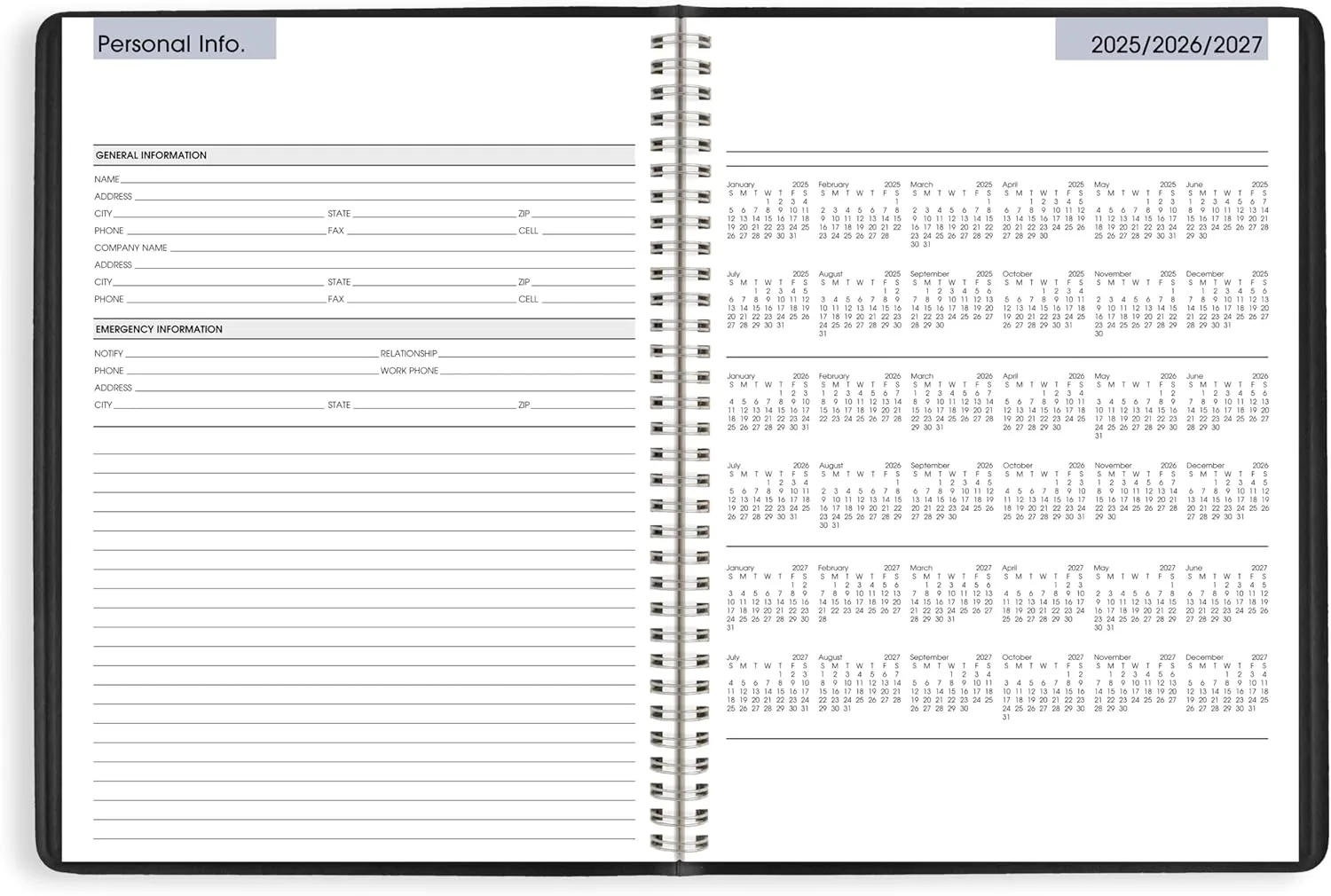 AT-A-GLANCE DayMinder Weekly Appointment Book Planner, 8" x 11", Large