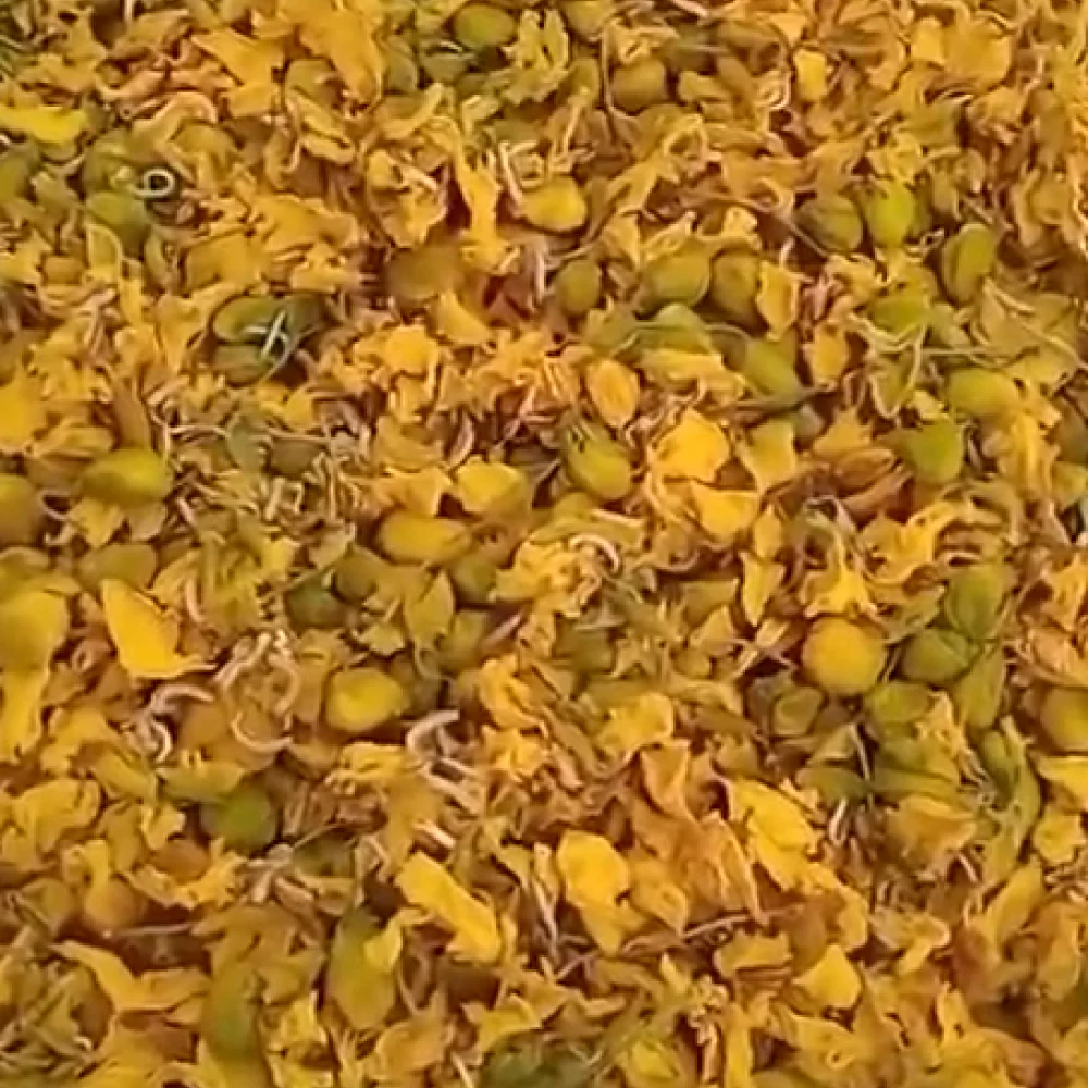 Avaram flower | ஆவாரம் பூ 30 GRAM