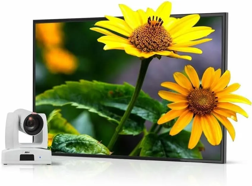 AVer PTZ211 Full HD 1080p60 Network PTZ Camera