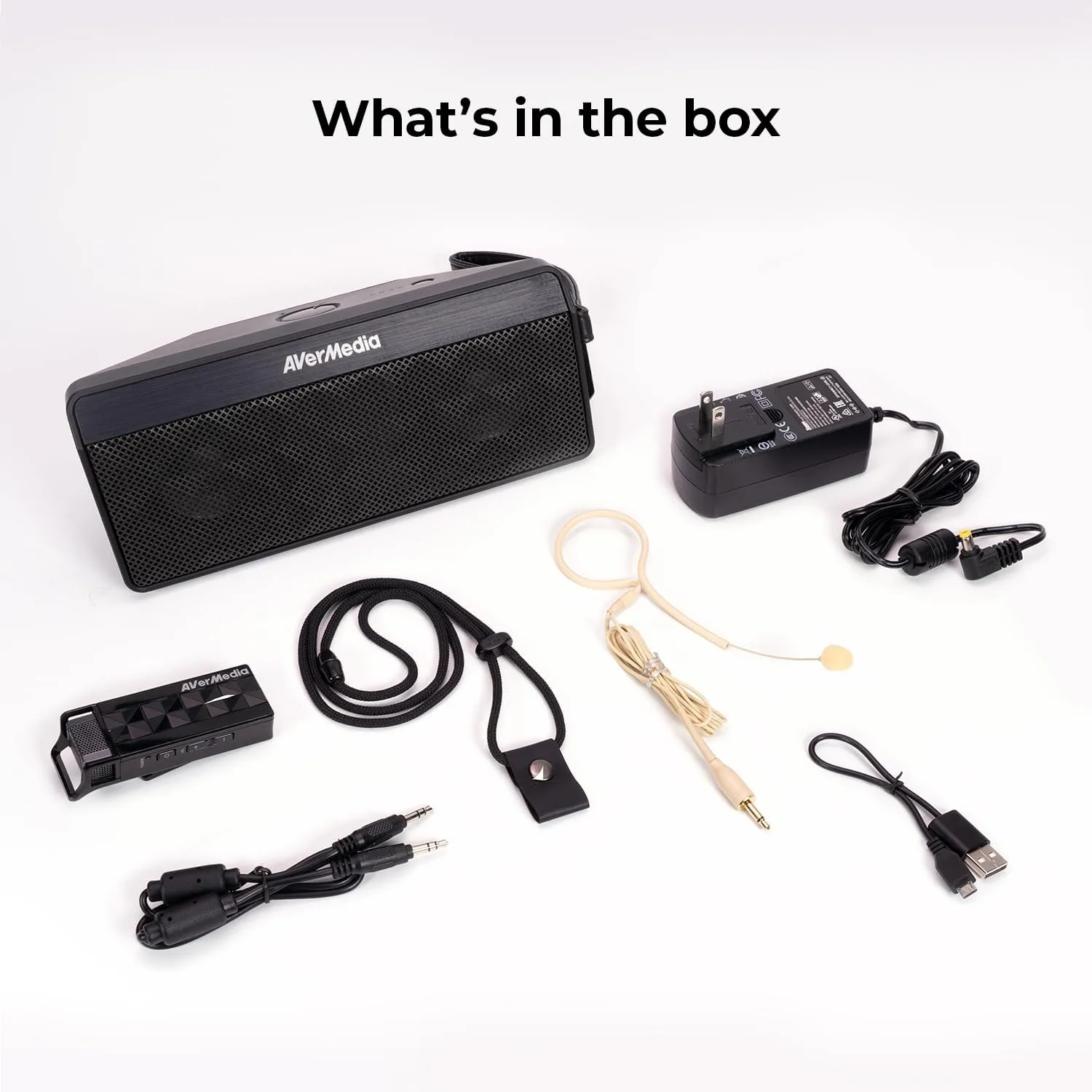 AVerMedia Wireless Voice Amplifier for Teachers, Classroom Audio System, Portable Speaker Microphone System for Classroom, Training, Teaching, Yoga, Meeting, Speech - AW330