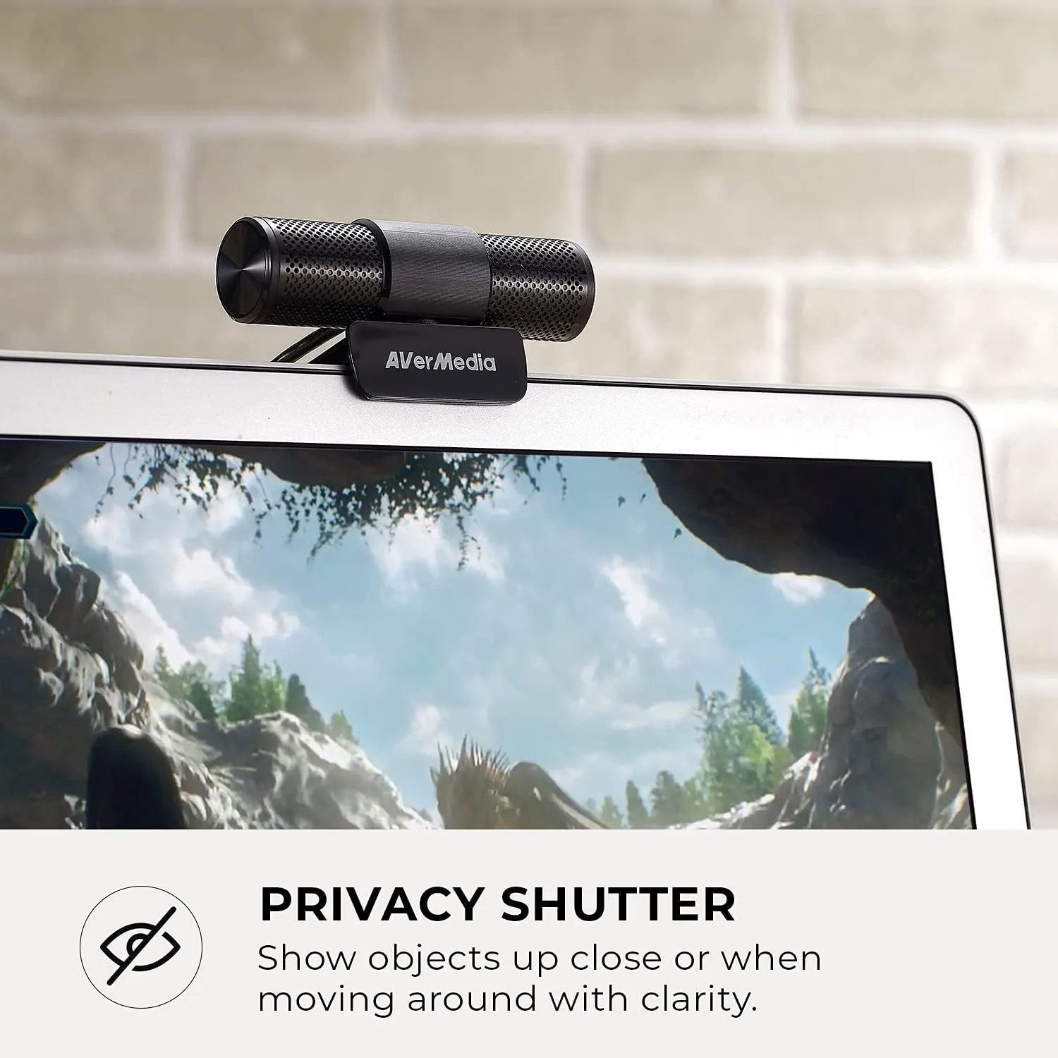 AVerMedia Live Streamer Cam 313 - Full HD 1080P Webcam with Privacy Shutter, Dual Microphone